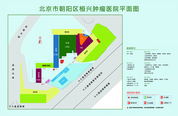 男生大鸡鸡网战北京市朝阳区桓兴肿瘤医院平面图